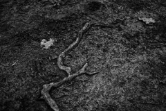 DS1J0487-IridientEdit